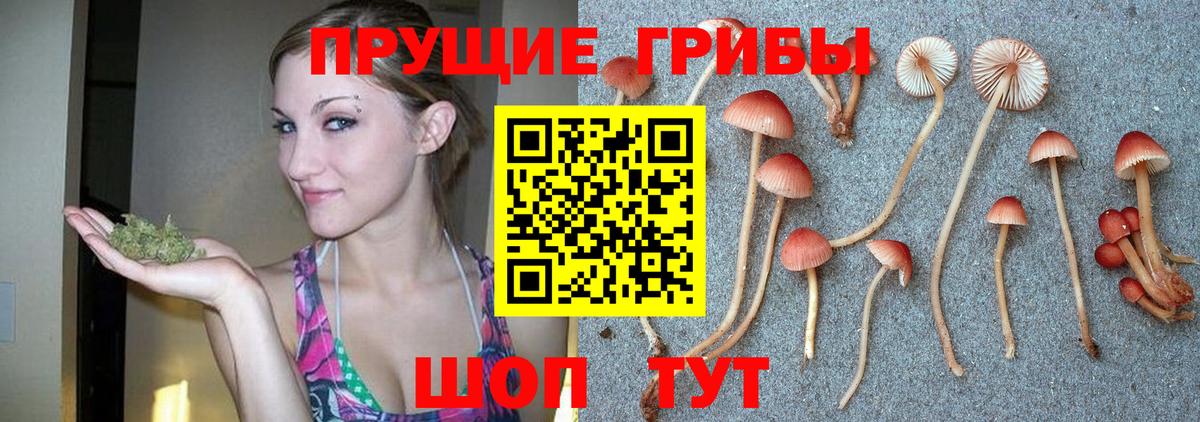Псилоцибиновые грибы мухоморы  Галлюциногенные грибы Magic Shrooms  Вход с VPN  Гулькевичи 